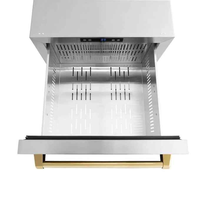 ZLINE 24" Touchstone 168 Can Outdoor-Rated Dual Refrigerator Drawer, Gold, RDSOZ-ST-24-G09K
