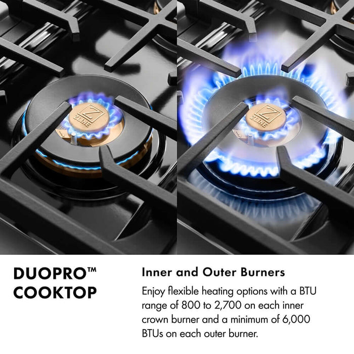 ZLINE 48" Paramount Dual Fuel Range DuoPro™ Cooktop, Dual Ovens PSDR-WM-4809K