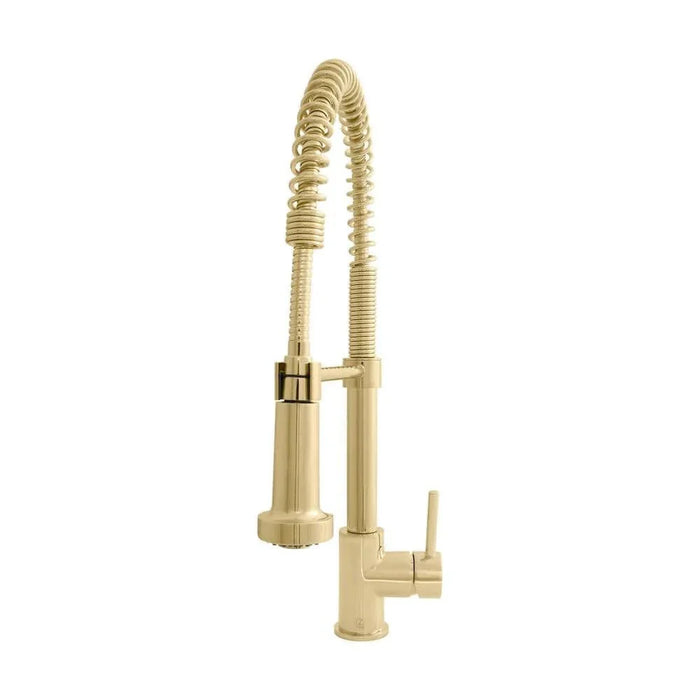 ZLINE Apollo Kitchen Faucet, APL-KF-PG09K