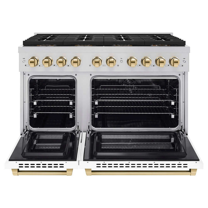 ZLINE 48" Paramount Dual Fuel Range DuoPro™ Cooktop, Dual Ovens PSDRZ-WM-48-G09K