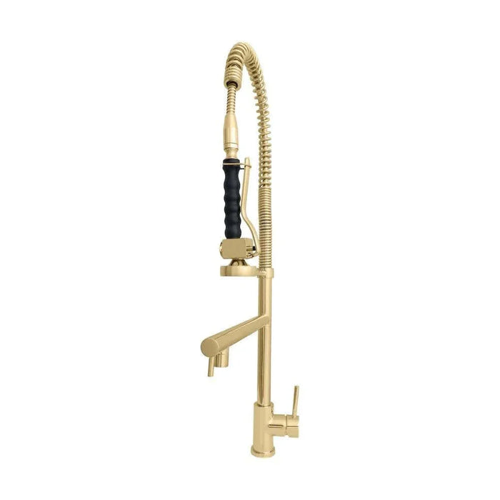 ZLINE Van Gogh Kitchen Faucet in Polished Gold, VNG-KF-PG09K