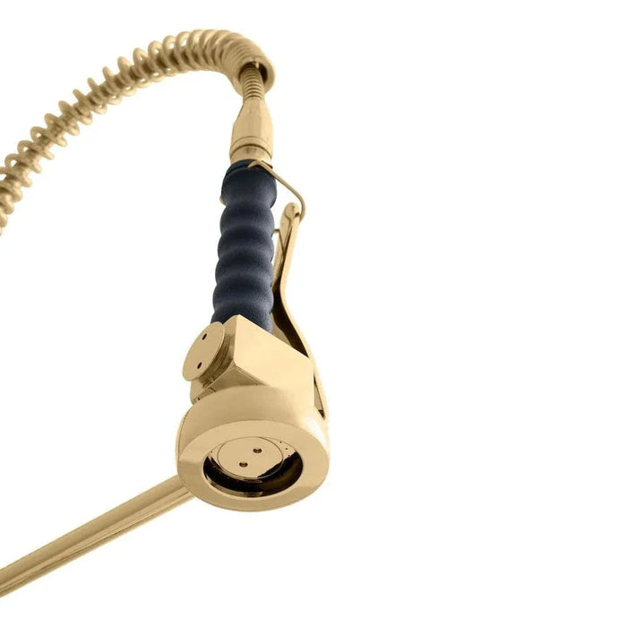 ZLINE Van Gogh Kitchen Faucet in Polished Gold, VNG-KF-PG09K