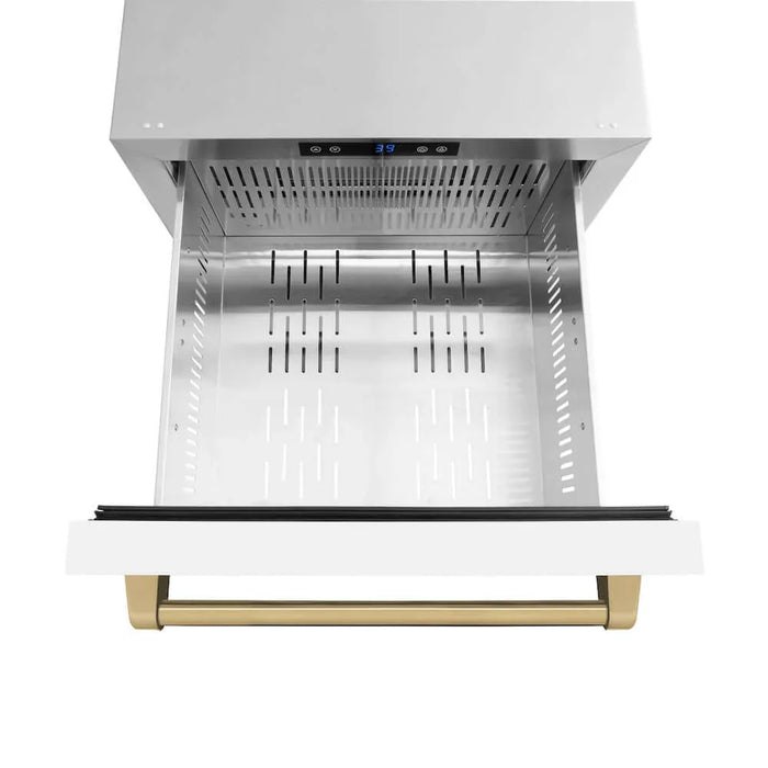 ZLINE Autograph Edition 24" Touchstone 168 Can Outdoor-Rated Dual Refrigerator Drawer, White Matte Door, Accents  RDSOZ-WM-24-CB09K