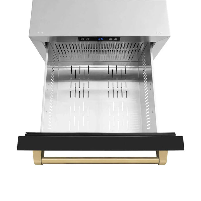 ZLINE Autograph Edition 24" Touchstone 168 Can Outdoor-Rated Dual Refrigerator Drawer, Black Matte Door, Accents  RDSOZ-BLM-24-CB09K