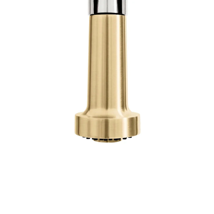 ZLINE Apollo Kitchen Faucet, APL-KF-ZBNCB09K