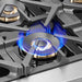 Forno Capriasca 48 in. Left Swing Door Freestanding Dual Fuel Range, Gas Stove, Electric Oven, Stainless Steel, FFSGS6387 - 48 - Farmhouse Kitchen and Bath