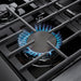 Thor 30" Professional Gas Range in Stainless Steel, LRG3001U - Farmhouse Kitchen and Bath