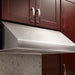 THOR 30" Professional Range Hood in Stainless Steel, TRH3005 - Farmhouse Kitchen and Bath