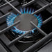 THOR 36" Professional Dual Fuel Range in Stainless Steel, HRD3606U - Farmhouse Kitchen and Bath
