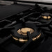 ZLINE 48" Autograph Edition Stainless Gas Range, Gold Accent, RGZ-48-G - Farmhouse Kitchen and Bath