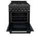 ZLINE 24" Black Stainless, Gas Brass Burner, Electric Range, RAB - BR - 24 - Farmhouse Kitchen and Bath