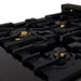 ZLINE 24" Black Stainless, Gas Brass Burner, Electric Range, RAB - BR - 24 - Farmhouse Kitchen and Bath