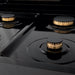 ZLINE 24" Black Stainless, Gas Brass Burner, Electric Range, RAB - BR - 24 - Farmhouse Kitchen and Bath