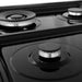 ZLINE 24" Gas On Gas Range In DuraSnow, Stainless Steel, RGS - SN - 24 - Farmhouse Kitchen and Bath