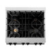 ZLINE 30" Autograph Dual Fuel Range, DuraSnow Stainless, RASZ - SN - 30 - MB - Farmhouse Kitchen and Bath