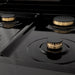 ZLINE 30" Black Stainless, Gas/Electric Oven, Brass Burners, RAB - BR - 30 - Farmhouse Kitchen and Bath
