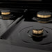 ZLINE 30" Dual Fuel Range, Black Stainless, Champagne Bronze, RABZ - 30 - CB - Farmhouse Kitchen and Bath