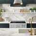 ZLINE 30" Induction Range in DuraSnow with a 4 Element Stove and Electric Oven RAINDS - WM - 30 - Farmhouse Kitchen and Bath