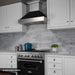 ZLINE 30" Professional Dual Fuel Range, Snow Stainless, Black Matte Door, RAS - BLM - 30 - Farmhouse Kitchen and Bath