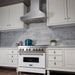 ZLINE 30" Snow Finish Stainless Range Hood with Snow Finish Shell, 8654SN - 30 - Farmhouse Kitchen and Bath