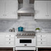 ZLINE 30" Snow Finish Stainless Range Hood with Snow Finish Shell, 8654SN - 30 - Farmhouse Kitchen and Bath