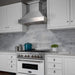 ZLINE 30" Snow Finish Stainless Range Hood with Snow Finish Shell, 8654SN - 30 - Farmhouse Kitchen and Bath