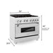 ZLINE 36" Dual Fuel Range, DuraSnow, Stainless, Brass Burners, RAS - SN - BR - 36 - Farmhouse Kitchen and Bath