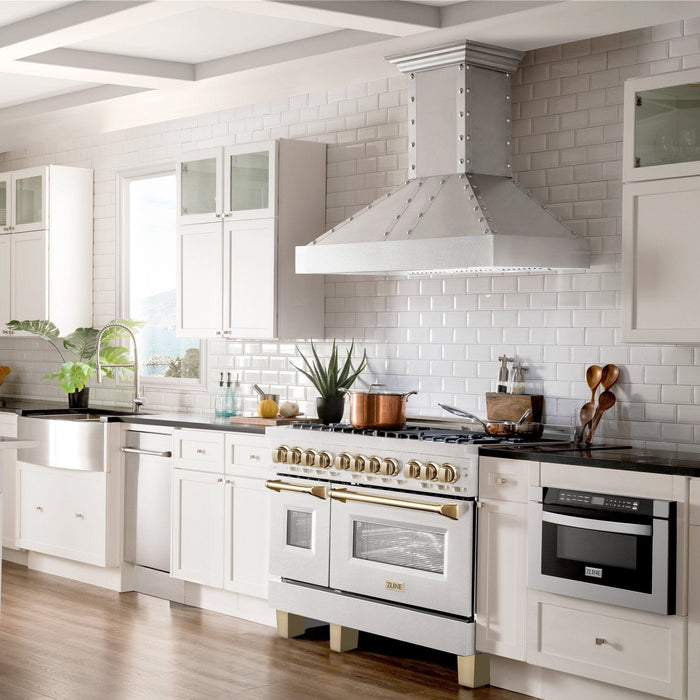 ZLINE 48" Autograph Edition Dual Fuel Range, DuraSnow, RASZ - SN - 48 - G - Farmhouse Kitchen and Bath
