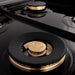 ZLINE 48" Autograph Edition, Rangetop, DuraSnow, Gold Accent, RTSZ - 48 - G - Farmhouse Kitchen and Bath