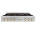 ZLINE 48" Autograph Edition, Rangetop, DuraSnow, Gold Accent, RTSZ - 48 - G - Farmhouse Kitchen and Bath