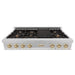 ZLINE 48" Autograph Edition, Rangetop, DuraSnow, Gold Accent, RTSZ - 48 - G - Farmhouse Kitchen and Bath