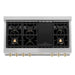 ZLINE 48" Autograph Edition, Rangetop, DuraSnow, Gold Accent, RTSZ - 48 - G - Farmhouse Kitchen and Bath