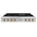 ZLINE 48" Autograph Edition, Rangetop, DuraSnow, RTSZ - 48 - CB - Farmhouse Kitchen and Bath