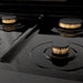ZLINE 48" Autograph Rangetop, Black Stainless, Champagne Bronze Accents, RTBZ - 48 - CB - Farmhouse Kitchen and Bath