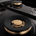 ZLINE 48" Autograph Rangetop, DuraSnow, Gold Accents RTSZ - 48 - MB - Farmhouse Kitchen and Bath