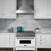 ZLINE 48" Snow Finish Range Hood with Snow Finish Shell, 8654SN - 48 - Farmhouse Kitchen and Bath