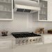 ZLINE 60" UNDER CABINET RANGE HOOD (520 - 60) - Farmhouse Kitchen and Bath
