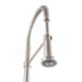 ZLINE Apollo Kitchen Faucet, APL - KF - BN - Farmhouse Kitchen and Bath