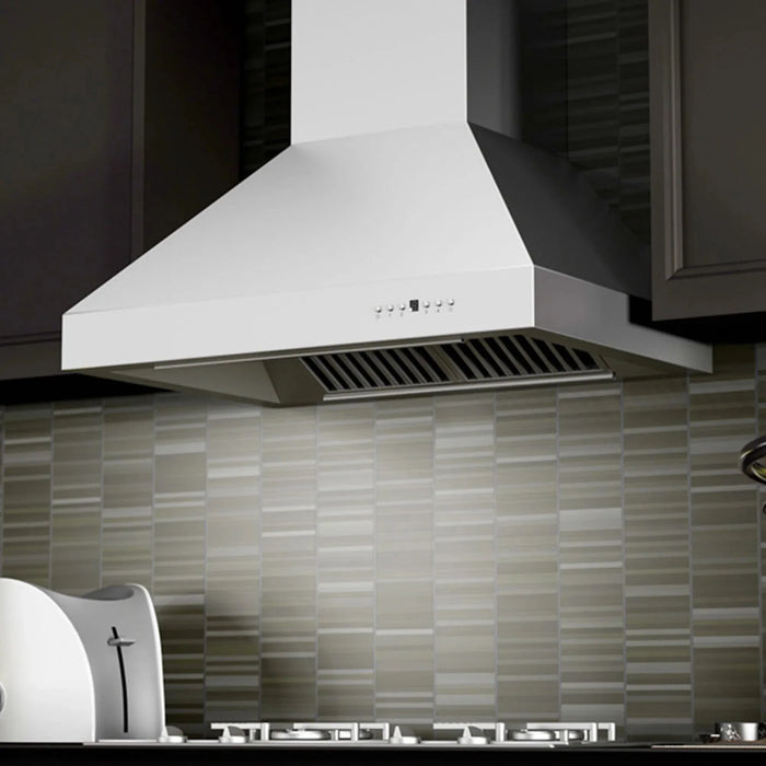 ZLINE Ducted Wall Mount Range Hood in Outdoor Approved Stainless Steel 697 - 304 - 30 - Farmhouse Kitchen and Bath