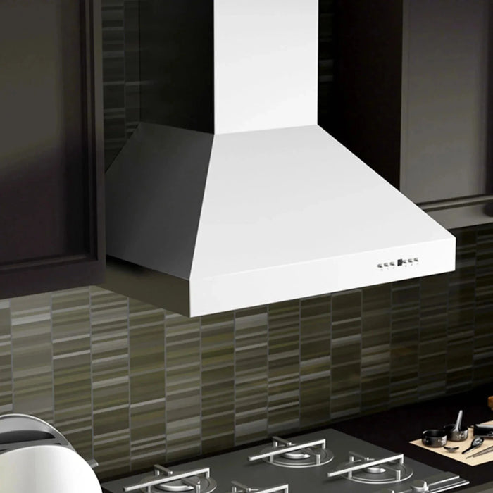 ZLINE Ducted Wall Mount Range Hood in Outdoor Approved Stainless Steel 697 - 304 - 36 - Farmhouse Kitchen and Bath