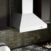 ZLINE Ducted Wall Mount Range Hood in Outdoor Approved Stainless Steel 697 - 304 - 36 - Farmhouse Kitchen and Bath