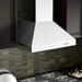 ZLINE Ducted Wall Mount Range Hood in Outdoor Approved Stainless Steel 697 - 304 - 42 - Farmhouse Kitchen and Bath