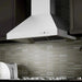 ZLINE Ducted Wall Mount Range Hood in Outdoor Approved Stainless Steel 697 - 304 - 48 - Farmhouse Kitchen and Bath