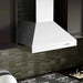ZLINE Ducted Wall Mount Range Hood in Outdoor Approved Stainless Steel 697 - 304 - 48 - Farmhouse Kitchen and Bath