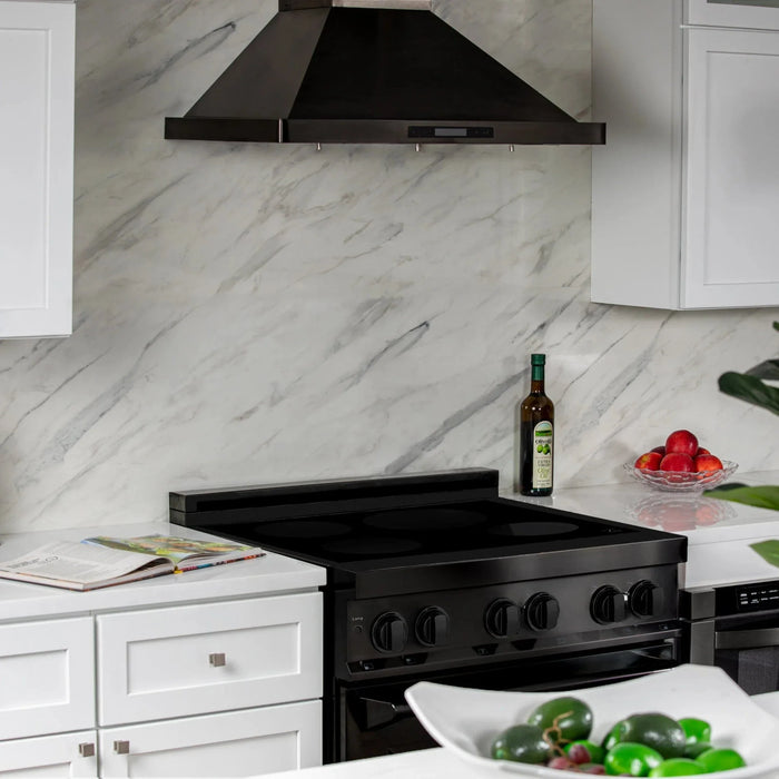 ZLINE Induction Range with a 4 Element Stove and Electric Oven in Black Stainless Steel RAIND - BS - 30 - Farmhouse Kitchen and Bath